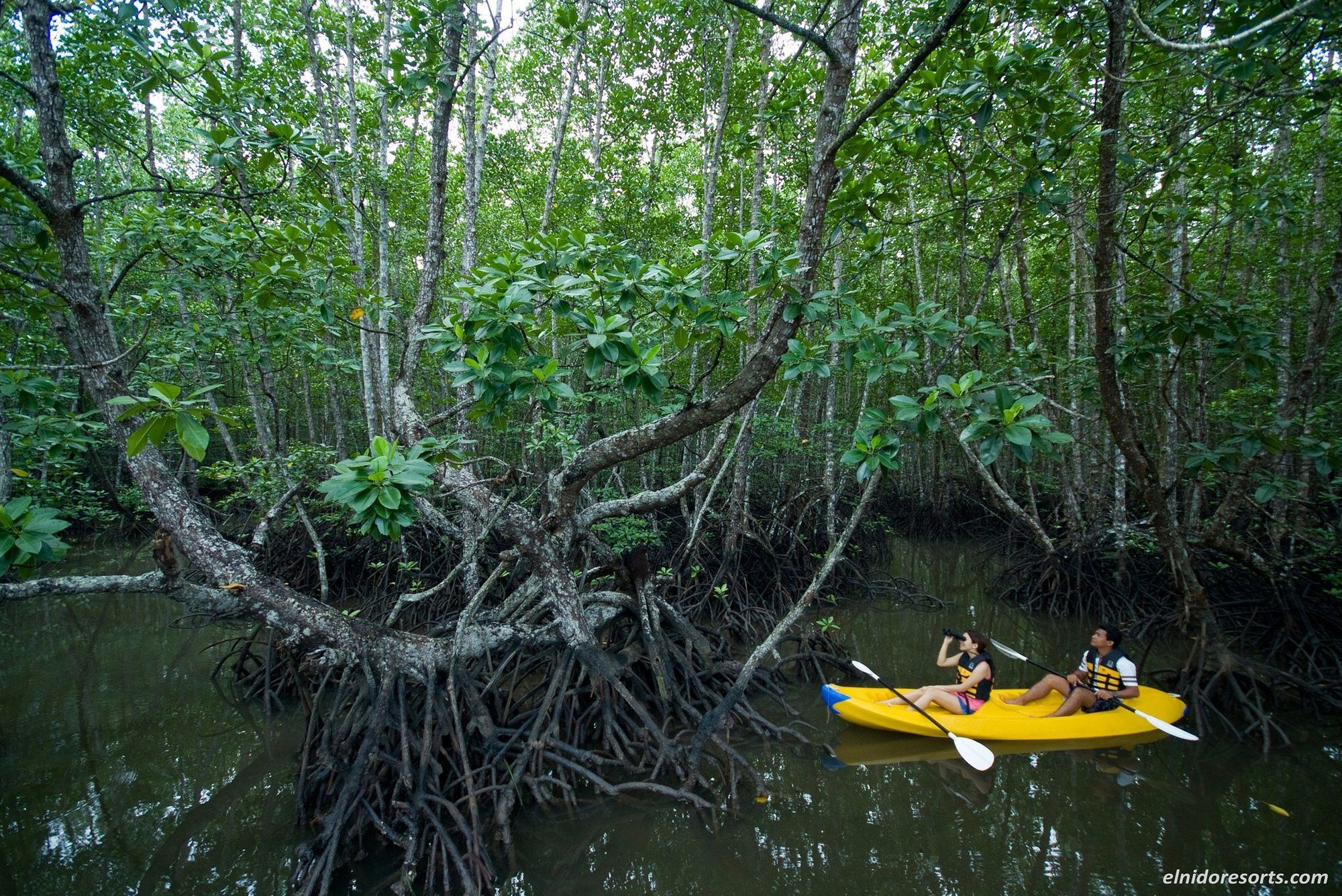 El Nido Resorts Pangulasian Island Зручності фото